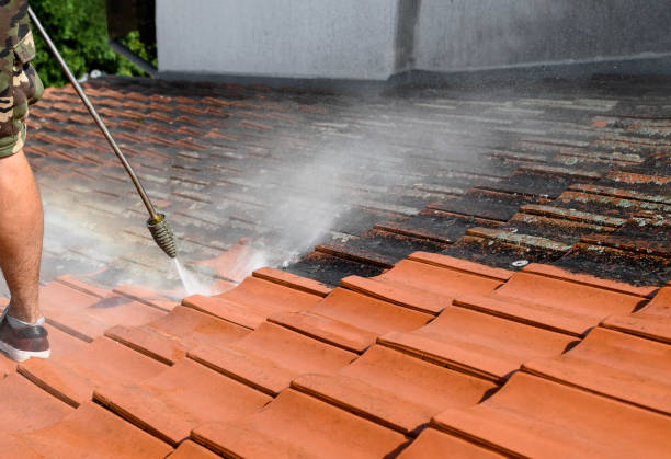Best Affordable Power Washing  in Zachary, LA