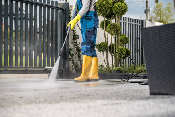 Local Pressure Washing Services in Zachary, LA