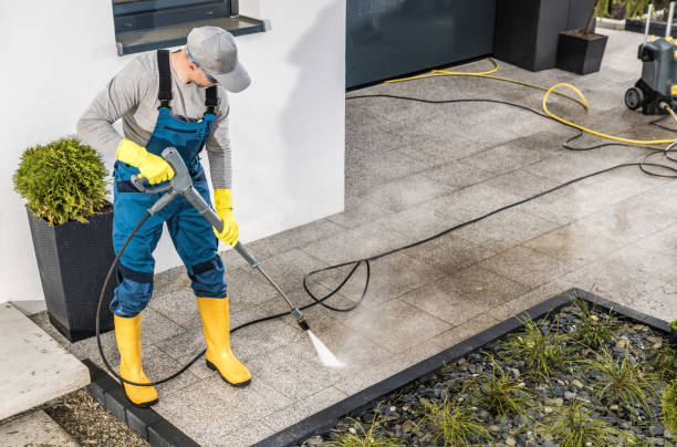 Best Deck Cleaning Services  in Zachary, LA